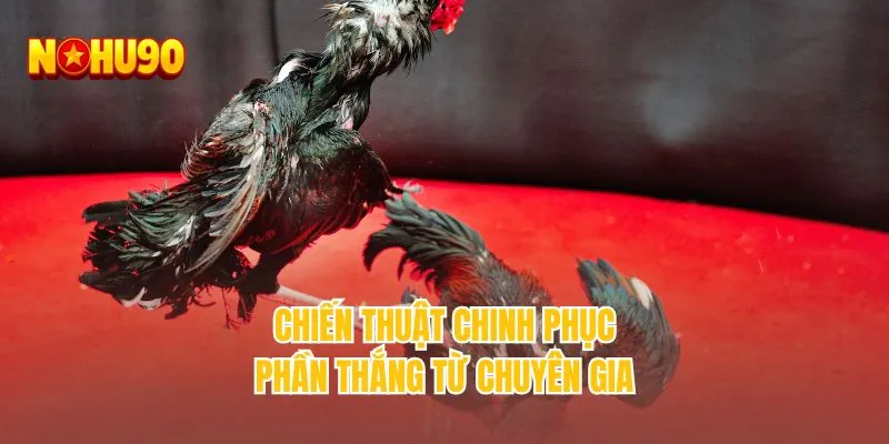 Chiến thuật chinh phục phần thắng từ chuyên gia