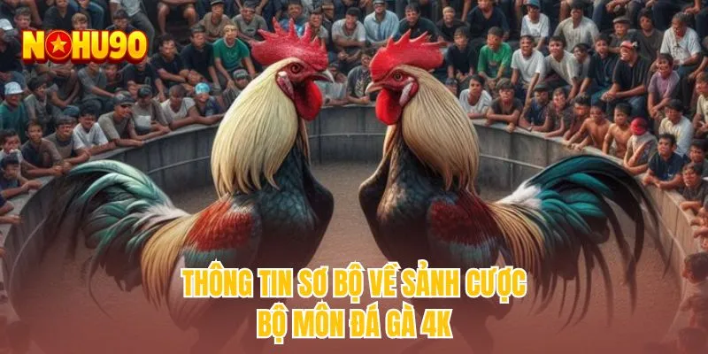Thông tin sơ bộ về sảnh cược bộ môn đá gà 4k